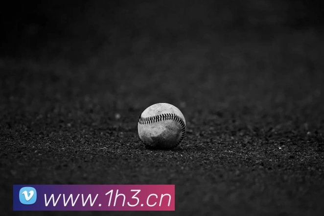 半岛网页版登录入口平台生态图