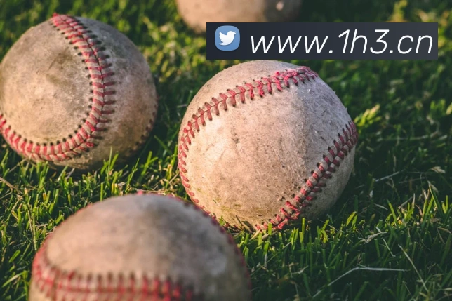 半岛网页版登录入口全站App